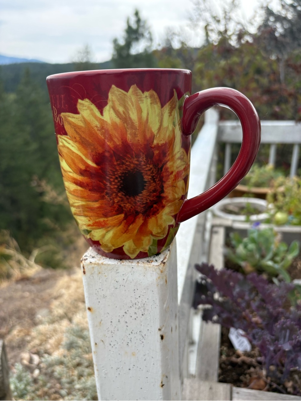 Country Sunflower Mug By Certified International